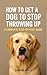 How to Get a Dog to Stop Th...