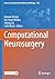 Computational Neurosurgery (Advances in Experimental Medicine and Biology, 1462)