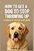 How to Get a Dog to Stop Th...