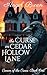 The Curse on Cedar Hollow Lane: Canon of the Crows: Book One