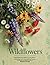 Wildflowers: Everything You...