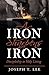 As Iron Sharpens Iron by Joseph T Lee