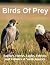 Birds Of Prey: Raptors, Haw...