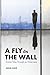 A Fly on The Wall: Human Tales Through an Urban Lens
