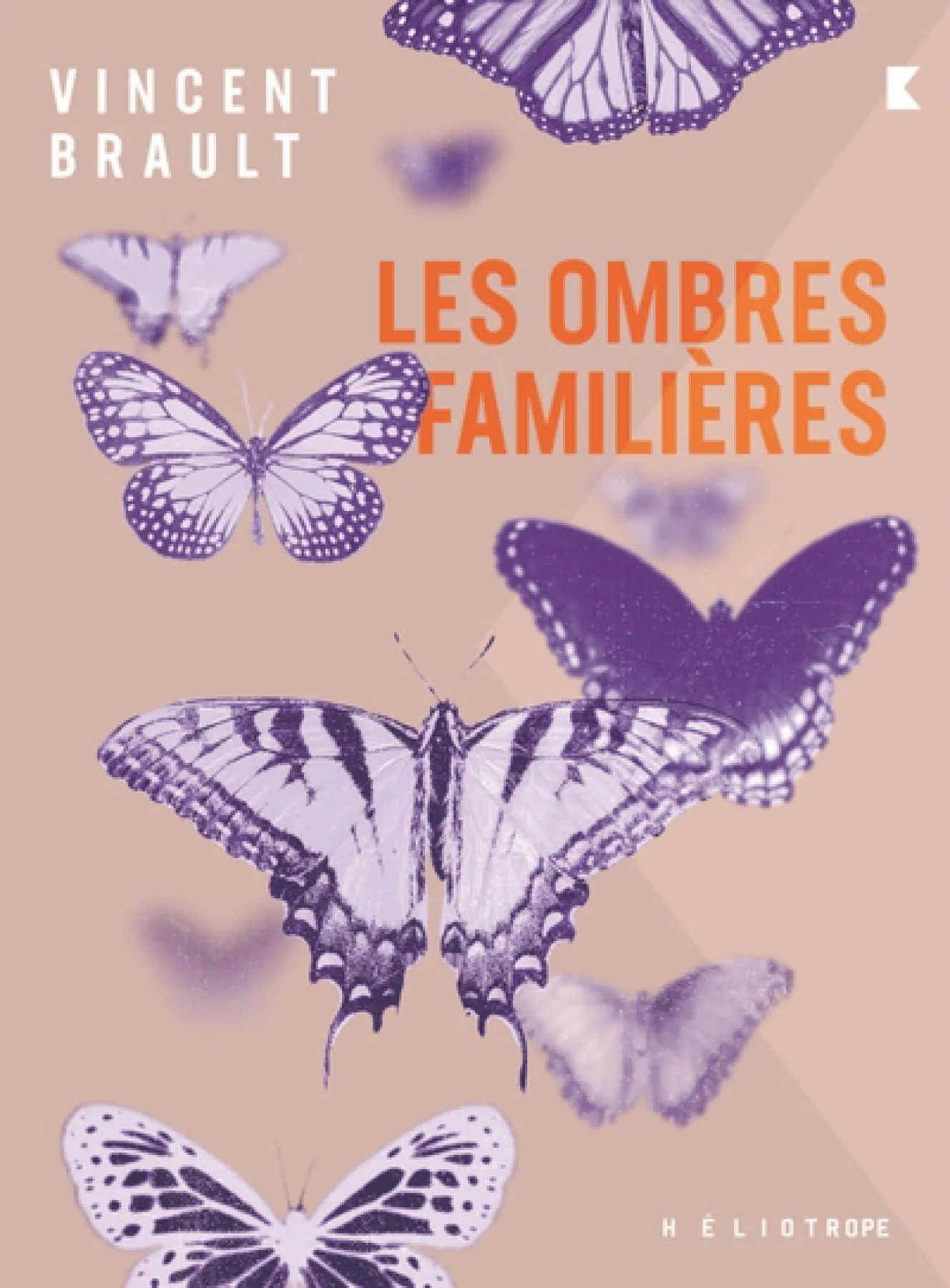 Les ombres familières (Paperback)