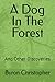 A Dog In The Forest by Byron Christopher