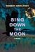 Sing Down the Moon