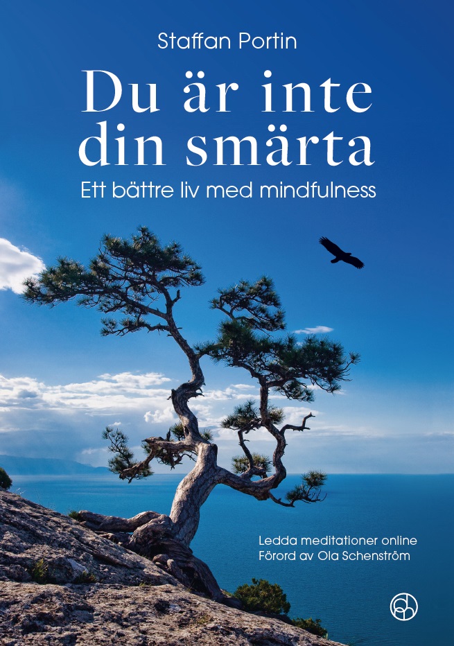 Du är inte din smärta: ett bättre liv med mindfulness