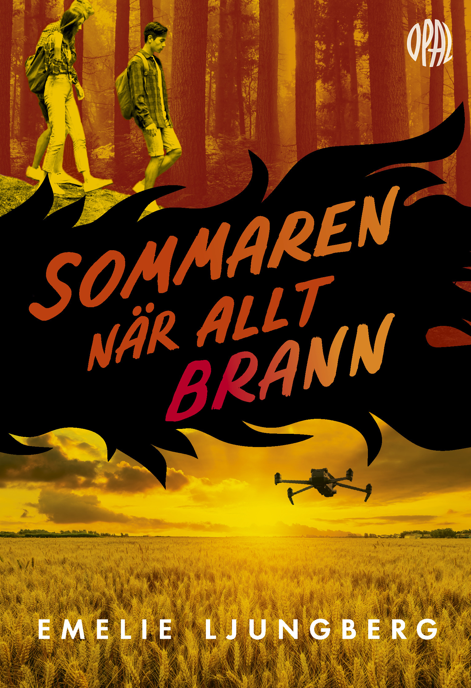 Sommaren när allt brann (Hardcover)