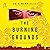 The Burning Grounds (Wyndham & Banerjee #6)
