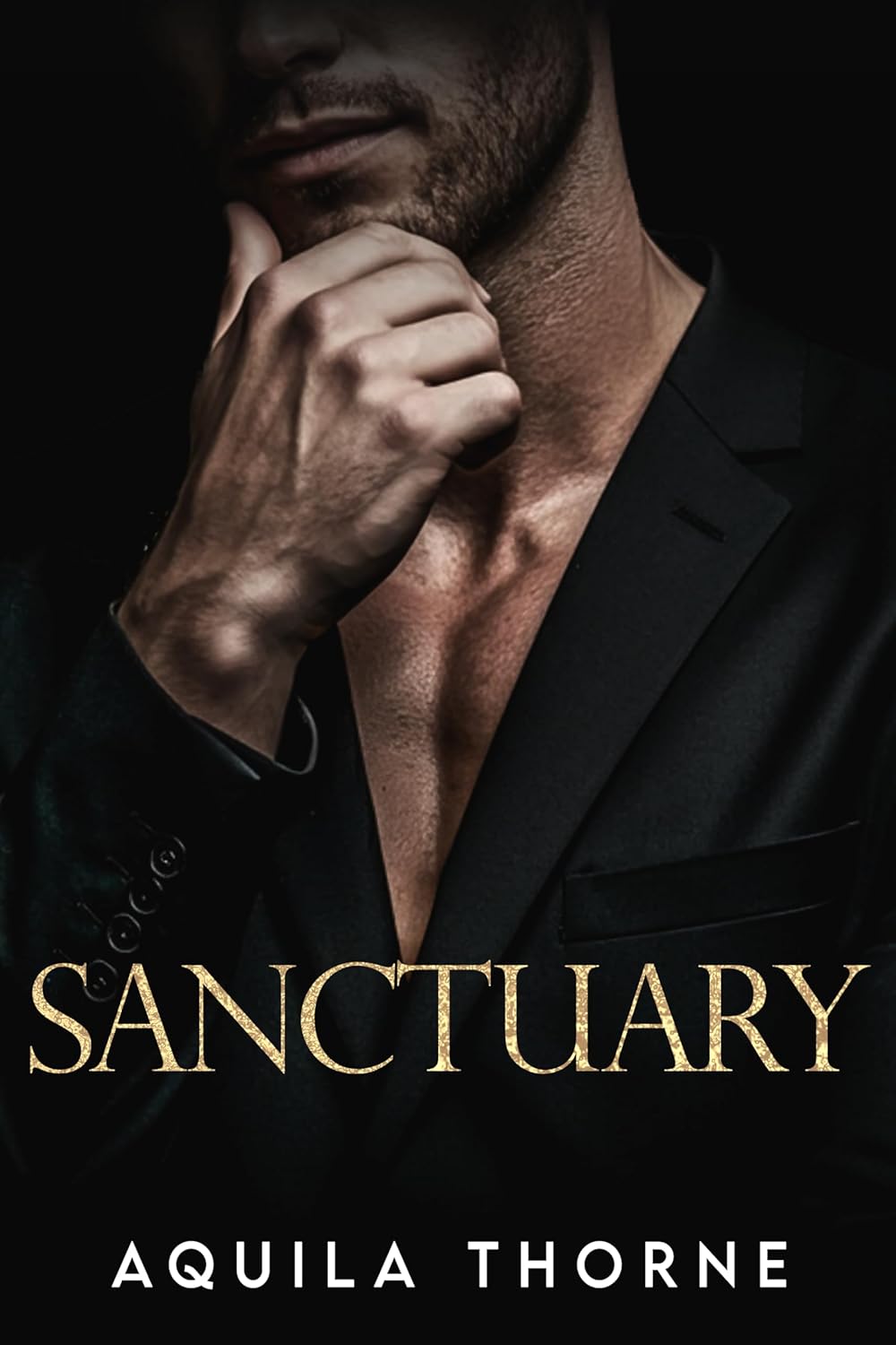 Sanctuary (Changing of the Guards, #3)