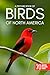A Picture Book of Birds of North America by Gentle Light Books A Picture Book of Birds of North America by Gentle Light Books