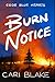 Burn Notice by Cari Blake