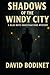 Shadows of the Windy City by David Bodinet