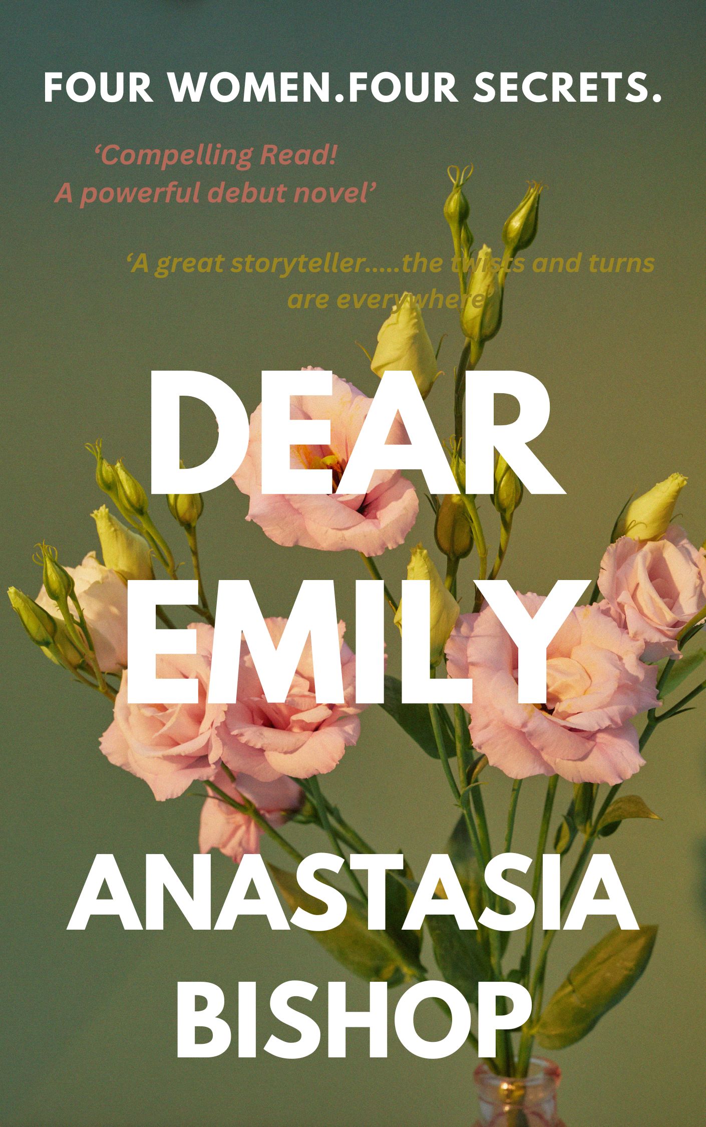 Dear Emily: A contemporary fiction page-turner about secrets, tragedy and the complexities of friendship