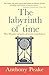 The Labyrinth of Time: The Illusion of Past, Present and Future