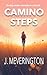Camino Steps: Novel Set on ...