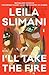 I'll Take the Fire: A Novel