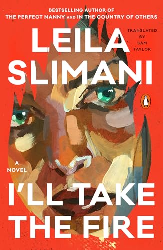 I'll Take the Fire: A Novel (Paperback)