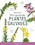 Mini-guide des plantes sauvages - NP by Michel Viard