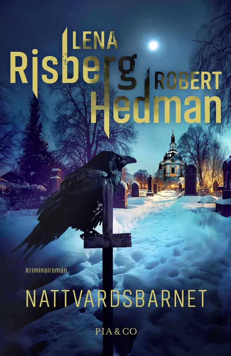 Nattvardsbarnet (Södermalmsmorden, #1)