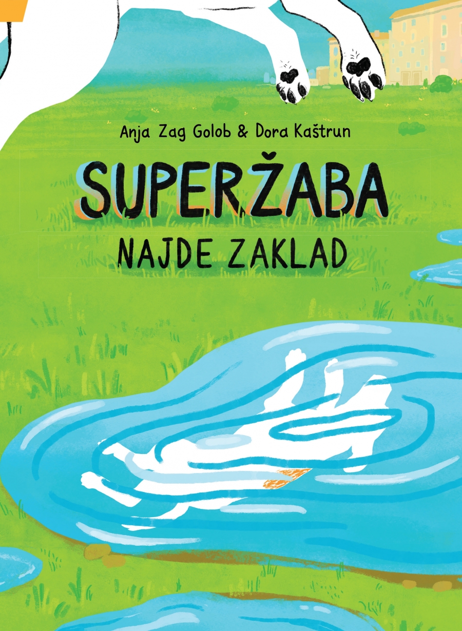 Superžaba najde zaklad (Hardcover)