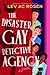 The Disaster Gay Detective ...