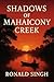 Shadows of Mahaicony Creek