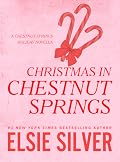 Christmas In Chestnut Springs