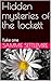 Hidden mysteries of the lockett by Sammie Settlemire