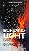 Blinding Light/Implacable Darkness (Illustrated Edition) by Forest Woodes