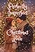 Perfectly Imperfect Christmas Love (Novels)