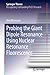 Probing the Giant Dipole Resonance Using Nuclear Resonance Fluorescence (Springer Theses)