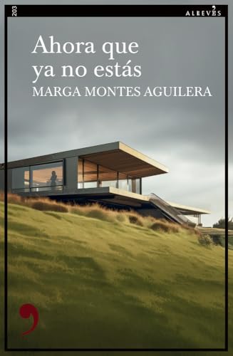 Ahora que ya no estás (Paperback)