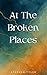 At The Broken Places by Stephen Tyler