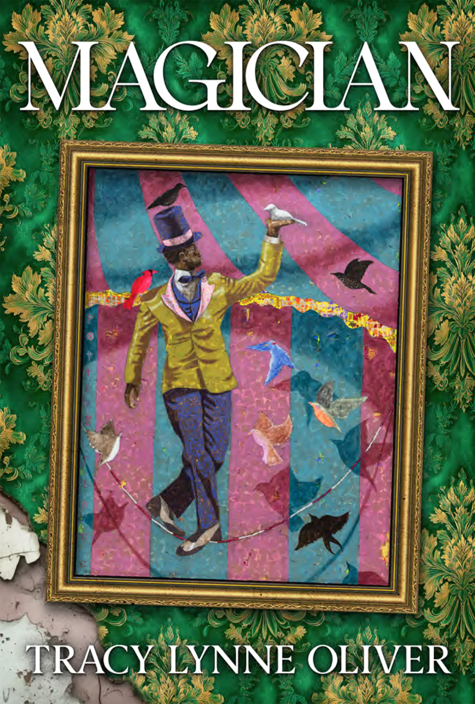 Magician (Hardcover)