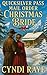 Quicksilver Pass Mail Order Christmas Bride by Cyndi Raye