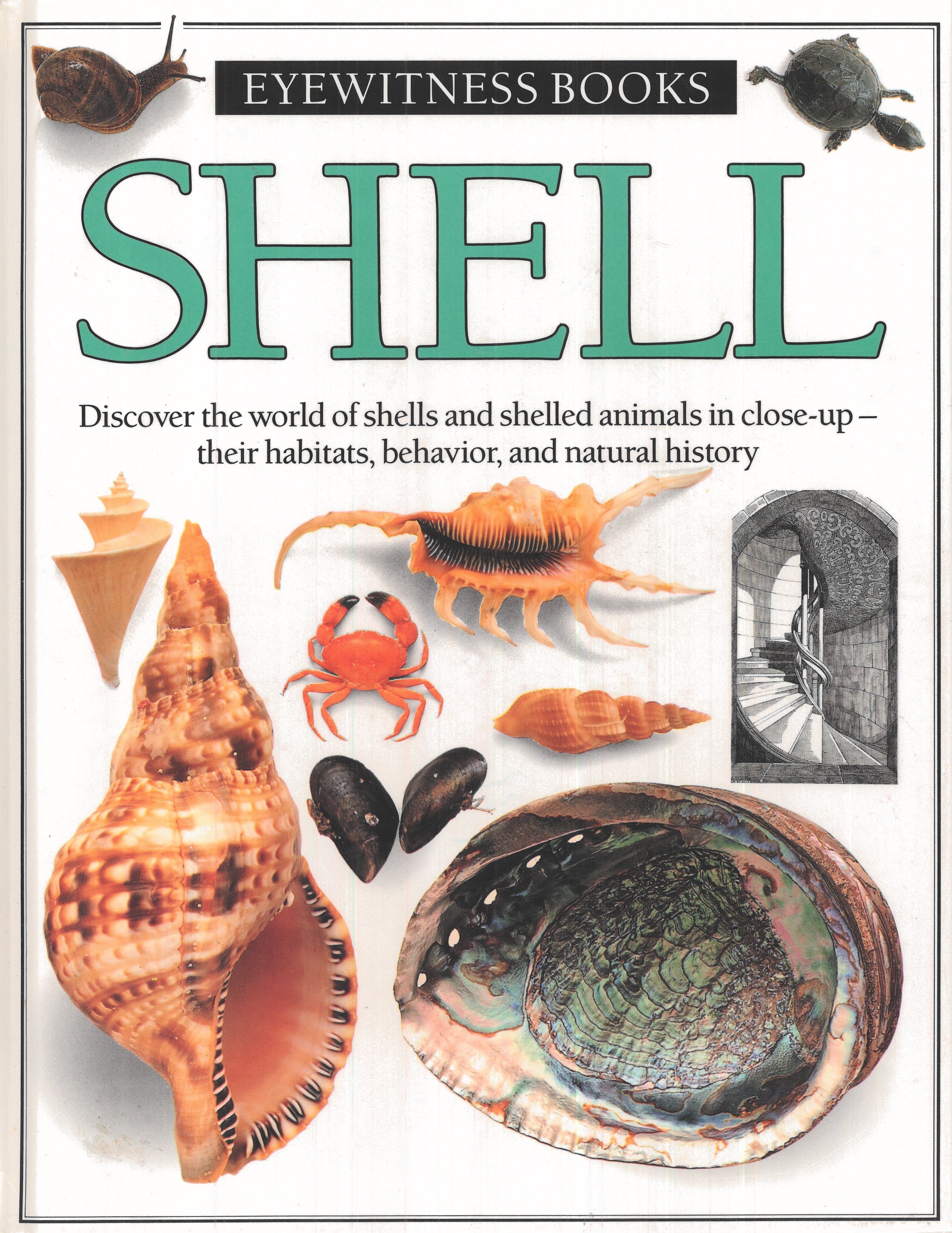 Shell (Hardcover)