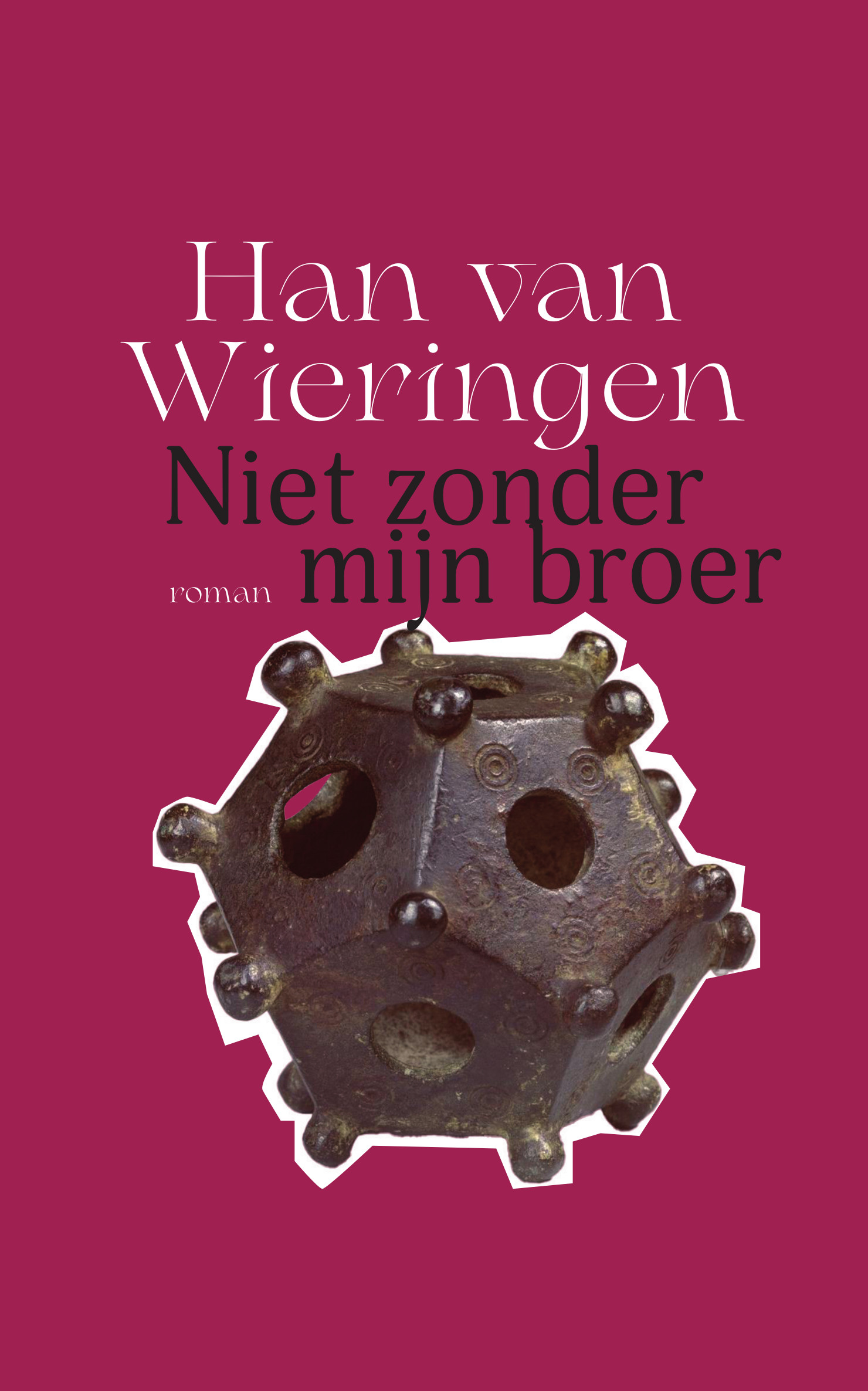 Niet zonder mijn broer (Paperback)
