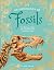 An Anthology of Fossils by Dean Lomax
