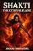 Shakti: The Eternal Flame