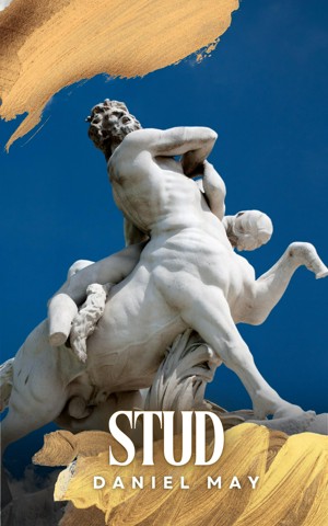 Stud (ebook)