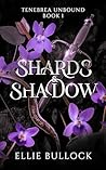 Shards and Shadow