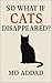 So What If Cats Disappeared...