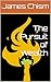 The Pursuit of Wealth by James Chism