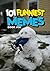 101 FUNNIEST MEMES by Rodrigo B Santos 101 FUNNIEST MEMES by Rodrigo B Santos