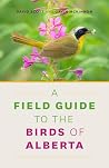 A Field Guide to ...