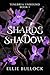 Shards and Shadow