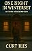 One Night in Winterset: A Story of Redemption