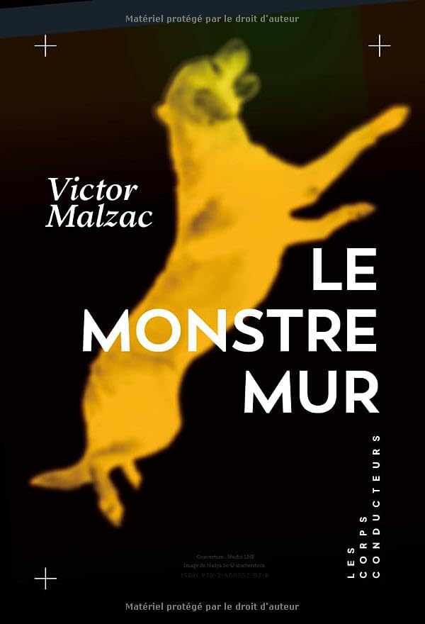 Le monstre mur (Paperback)